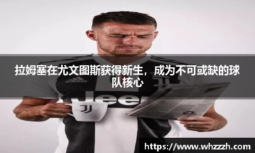 JN江南下载