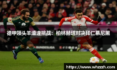 JN江南官网